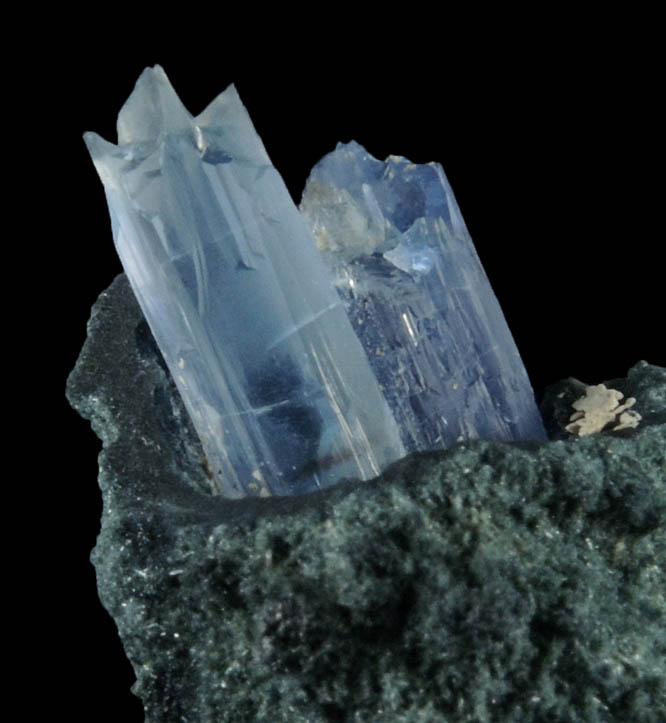 Jeremejevite in Foitite-Elbaite Tourmaline from Ameib Farm, Usakos, NE of Swakopmund, Erongo Region, Namibia