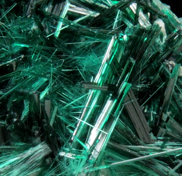 Brochantite from Milpillas Mine, Cuitaca, Sonora, Mexico