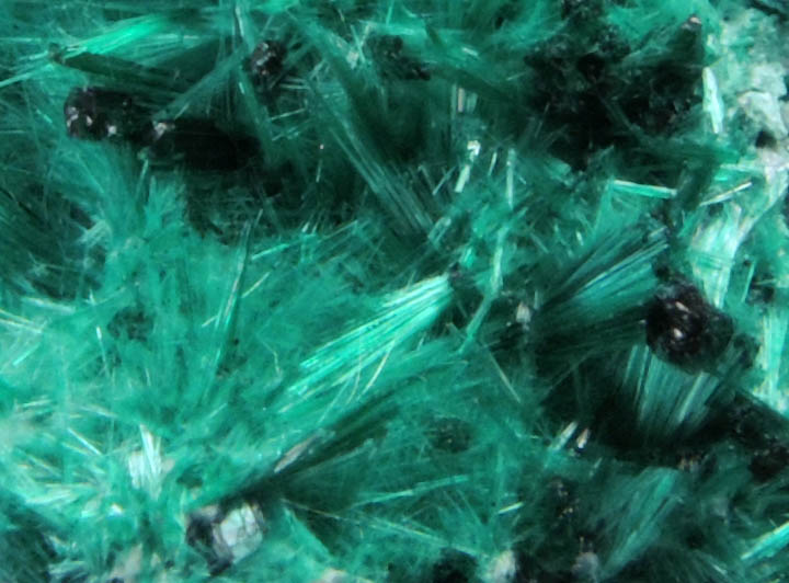 Brochantite from Milpillas Mine, Cuitaca, Sonora, Mexico