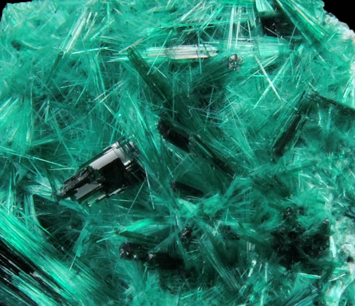 Brochantite from Milpillas Mine, Cuitaca, Sonora, Mexico