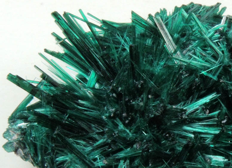 Brochantite from Milpillas Mine, Cuitaca, Sonora, Mexico