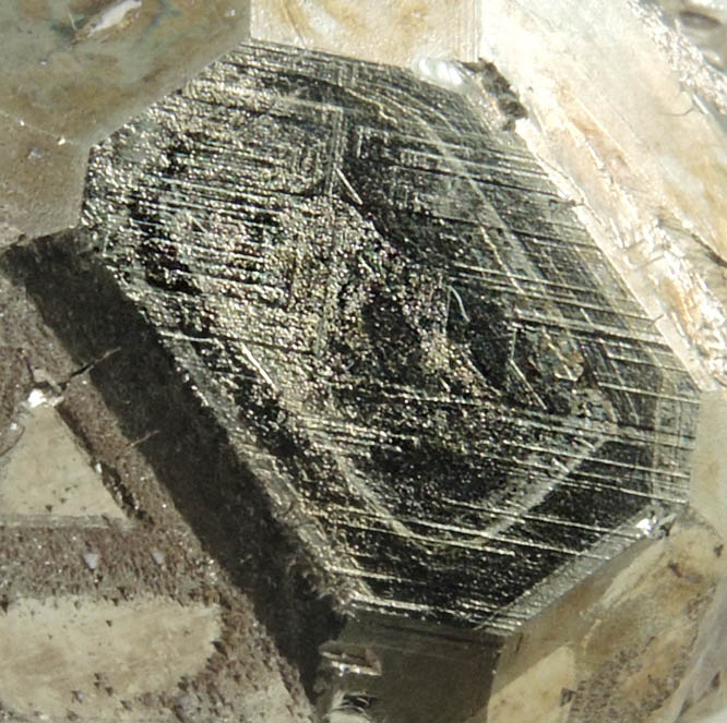 Pyrite from Milpillas Mine, Cuitaca, Sonora, Mexico