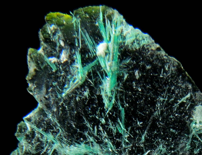 Volborthite with Brochantite from Milpillas Mine, Cuitaca, Sonora, Mexico