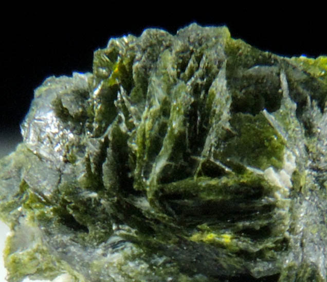 Volborthite from Milpillas Mine, Cuitaca, Sonora, Mexico