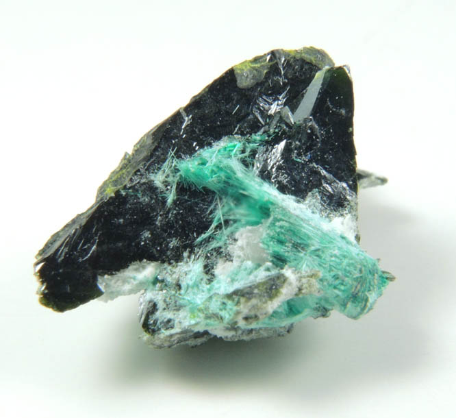 Volborthite with Brochantite from Milpillas Mine, Cuitaca, Sonora, Mexico