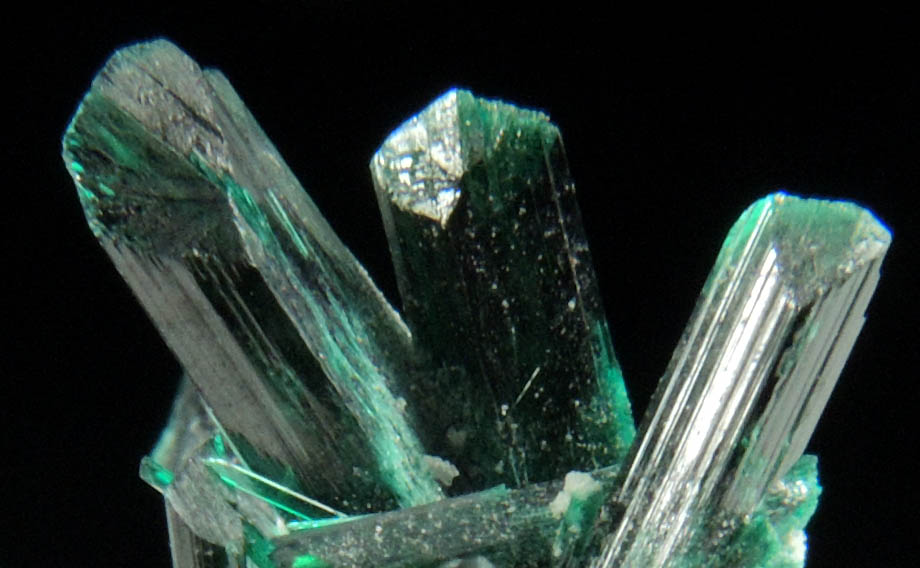 Brochantite from Milpillas Mine, Cuitaca, Sonora, Mexico