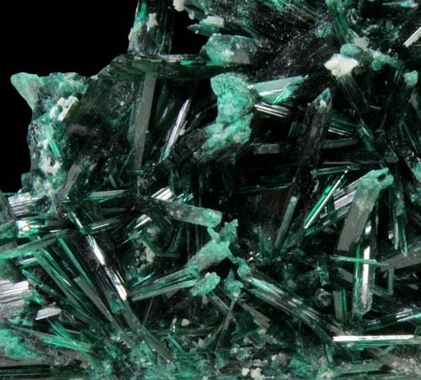 Brochantite from Milpillas Mine, Cuitaca, Sonora, Mexico