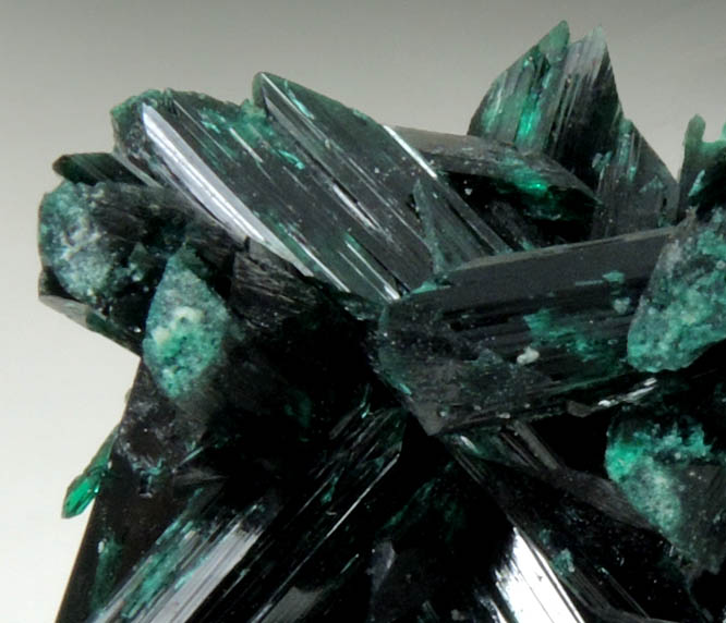 Brochantite from Milpillas Mine, Cuitaca, Sonora, Mexico