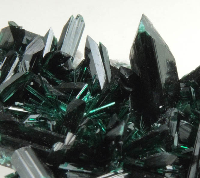 Brochantite from Milpillas Mine, Cuitaca, Sonora, Mexico