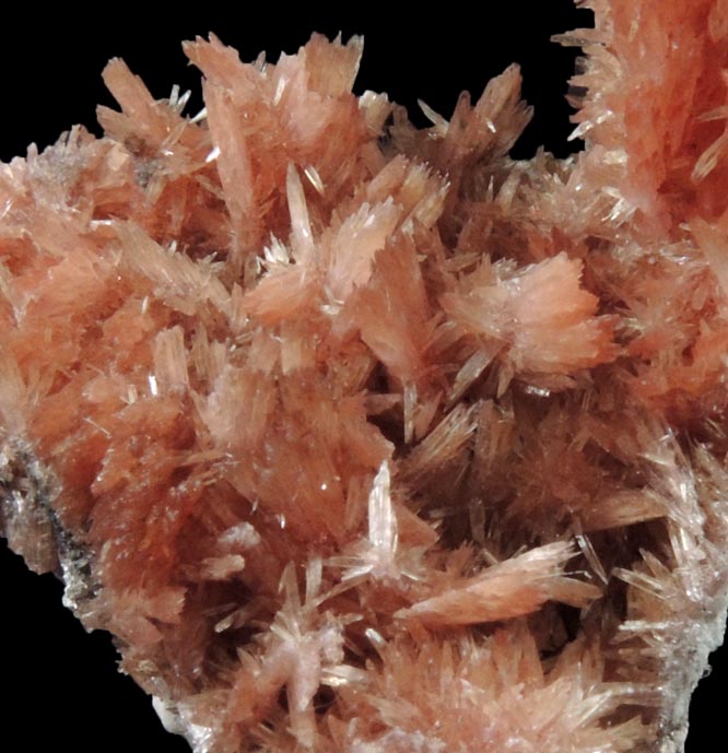 Inesite from N'Chwaning II Mine, Kalahari Manganese Field, Northern Cape Province, South Africa