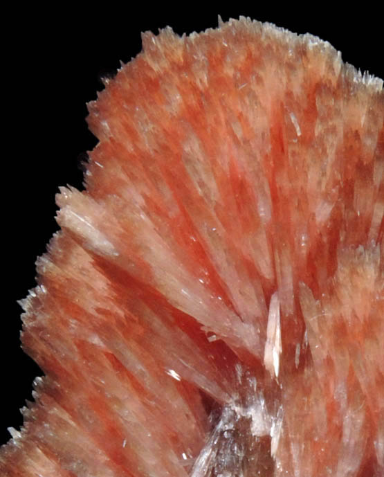 Inesite from N'Chwaning II Mine, Kalahari Manganese Field, Northern Cape Province, South Africa