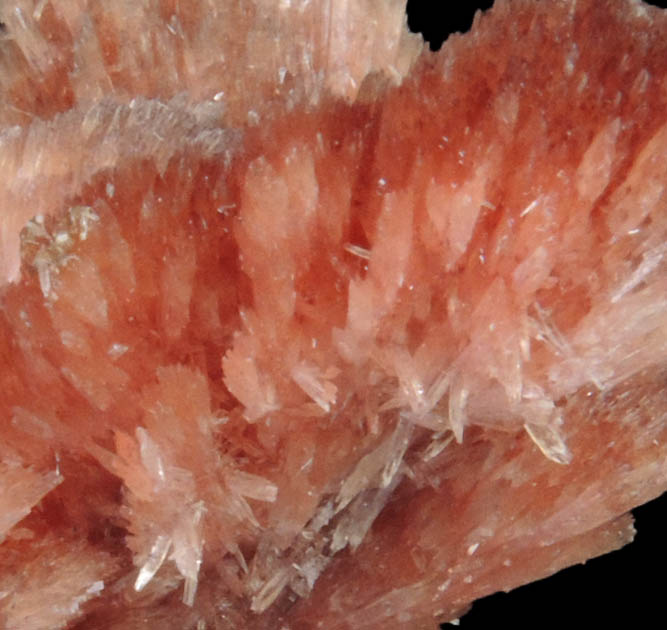 Inesite from N'Chwaning II Mine, Kalahari Manganese Field, Northern Cape Province, South Africa