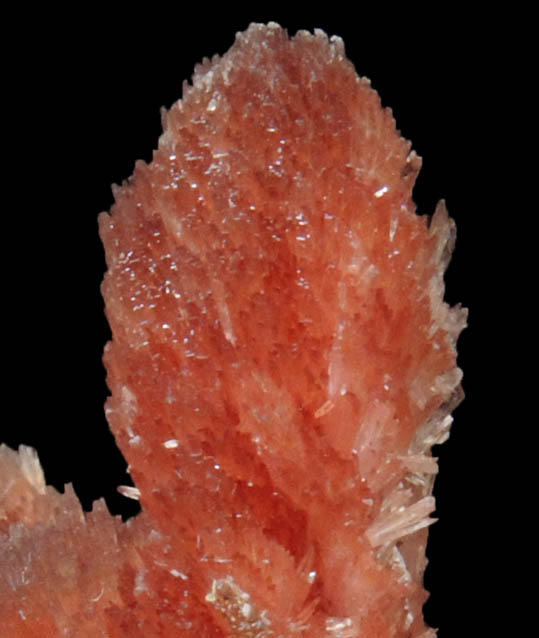 Inesite from N'Chwaning II Mine, Kalahari Manganese Field, Northern Cape Province, South Africa