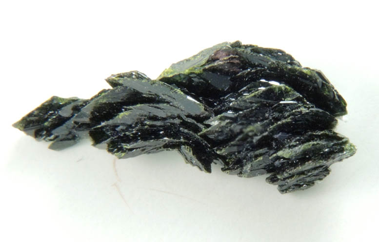 Volborthite from Milpillas Mine, Cuitaca, Sonora, Mexico