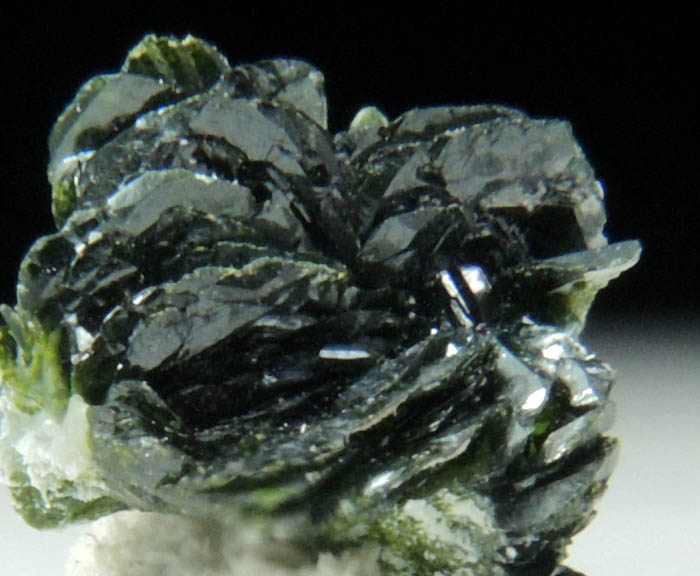 Volborthite from Milpillas Mine, Cuitaca, Sonora, Mexico