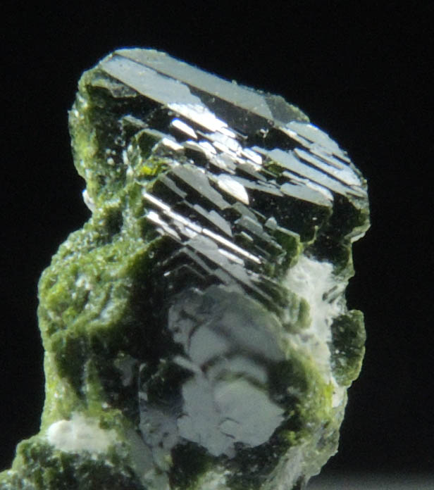 Volborthite from Milpillas Mine, Cuitaca, Sonora, Mexico