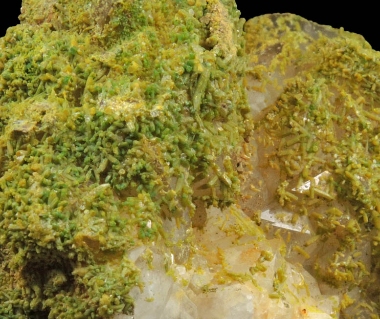 Pyromorphite on Quartz from Sarrowcole Vein, Laverock Hall, Leadhills, South Lanarkshire, Strathclyde, Scotland