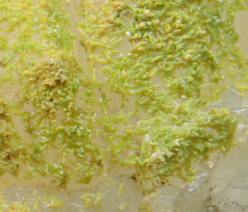 Pyromorphite on Quartz from Sarrowcole Vein, Laverock Hall, Leadhills, South Lanarkshire, Strathclyde, Scotland