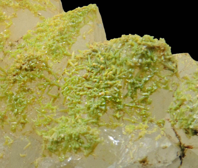 Pyromorphite on Quartz from Sarrowcole Vein, Laverock Hall, Leadhills, South Lanarkshire, Strathclyde, Scotland