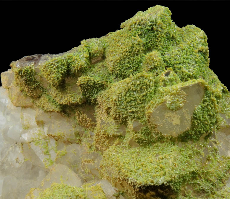 Pyromorphite on Quartz from Sarrowcole Vein, Laverock Hall, Leadhills, South Lanarkshire, Strathclyde, Scotland