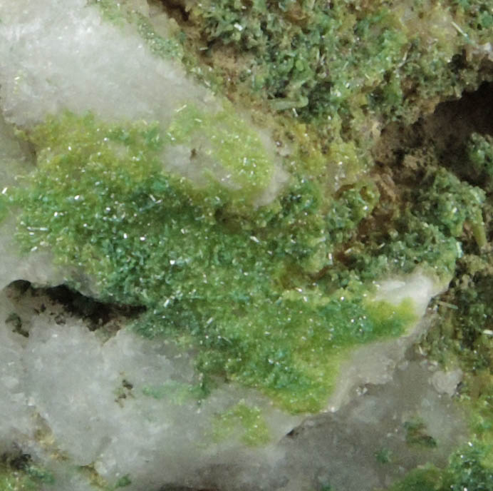 Pyromorphite on Quartz pseudomorphs after Barite from Sarrowcole Vein, Laverock Hall, Leadhills, South Lanarkshire, Strathclyde, Scotland