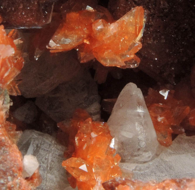 Heulandite-Sr, Calcite, Stilbite from Touch Reservoir Dam, SW of Stirling, Touch Hills, Stirlingshire, Scotland