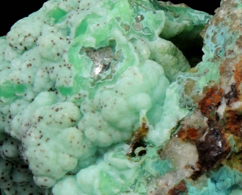 Phosphohedyphane, Chrysocolla, Mottramite, Pyromorphite over Quartz from Cove Vein, Whytes Cleuch, Wanlockhead, Dumfriesshire, Scotland