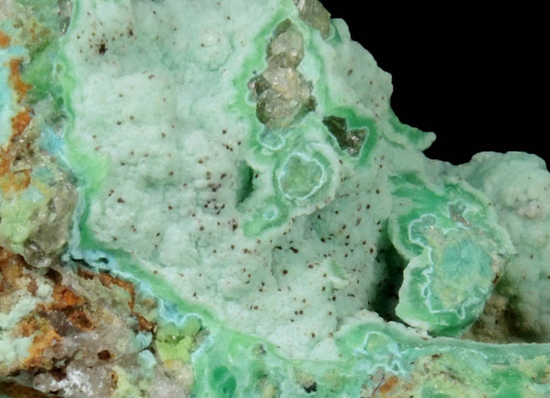 Phosphohedyphane, Chrysocolla, Mottramite, Pyromorphite over Quartz from Cove Vein, Whytes Cleuch, Wanlockhead, Dumfriesshire, Scotland