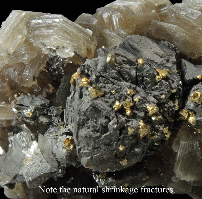 Stannite, Quartz, Chalcopyrite, Muscovite from Yaogangxian Mine, Nanling Mountains, Hunan, China