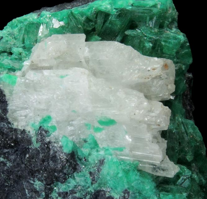 Schultenite on Adamite var. Cuproadamite from Tsumeb Mine, 2nd Oxide Zone, Otavi-Bergland District, Oshikoto, Namibia (Type Locality for Schultenite)