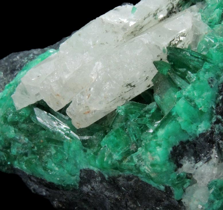 Schultenite on Adamite var. Cuproadamite from Tsumeb Mine, 2nd Oxide Zone, Otavi-Bergland District, Oshikoto, Namibia (Type Locality for Schultenite)