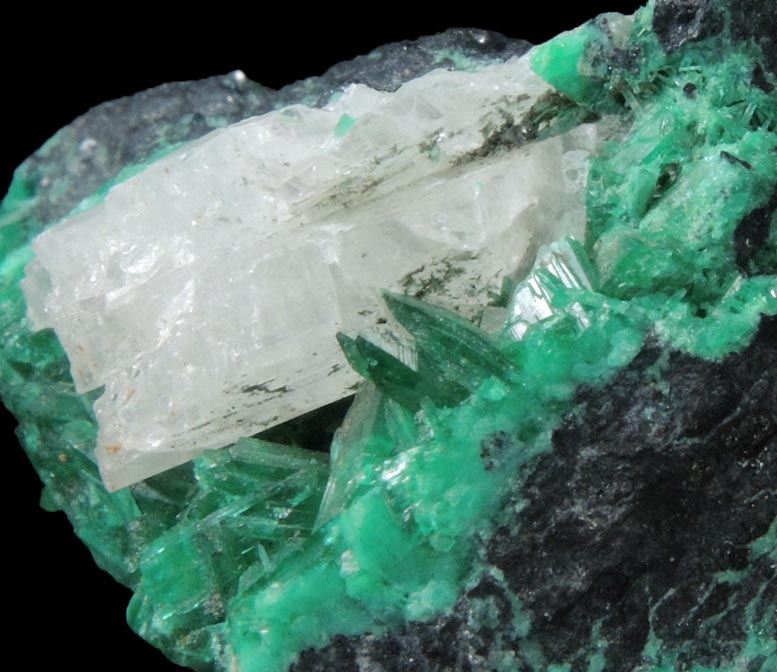 Schultenite on Adamite var. Cuproadamite from Tsumeb Mine, 2nd Oxide Zone, Otavi-Bergland District, Oshikoto, Namibia (Type Locality for Schultenite)