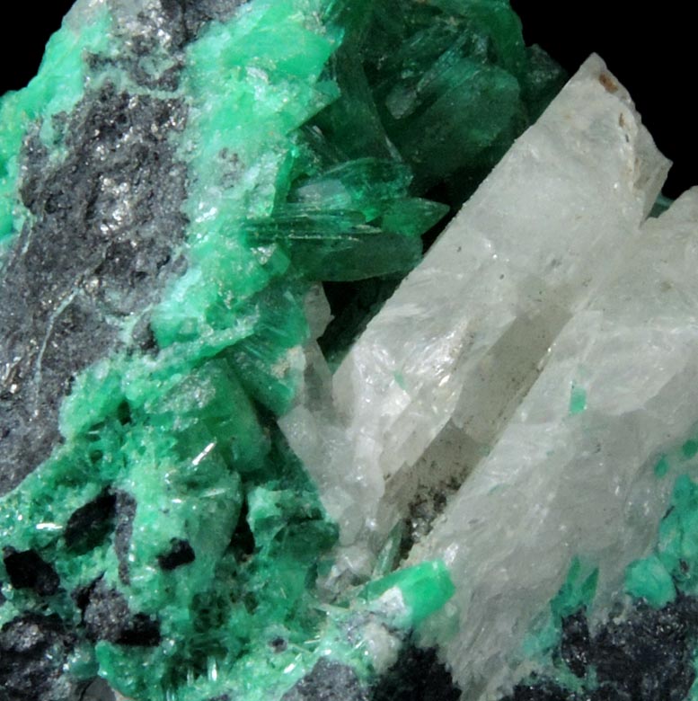 Schultenite on Adamite var. Cuproadamite from Tsumeb Mine, 2nd Oxide Zone, Otavi-Bergland District, Oshikoto, Namibia (Type Locality for Schultenite)