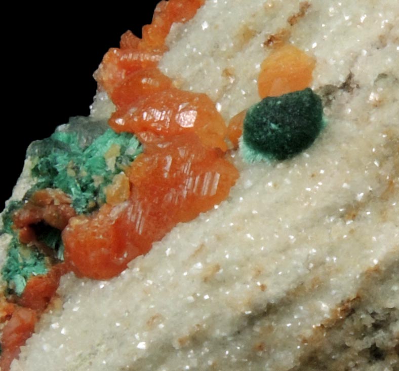 Cerussite (red-orange) with Malachite from Tsumeb Mine, Otavi-Bergland District, Oshikoto, Namibia