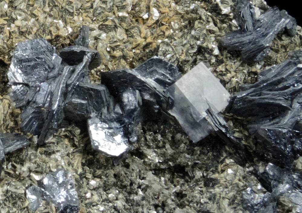 Molybdenite, Fluorite, Quartz, Muscovite from (Piaotang Mine, Xihuashan ore field), (Dayu, Ganzhou, Jiangxi), China