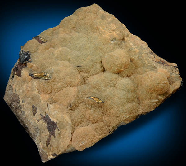 Chalcopyrite in Limonite-coated Prehnite from Lower New Street Quarry, Paterson, Passaic County, New Jersey