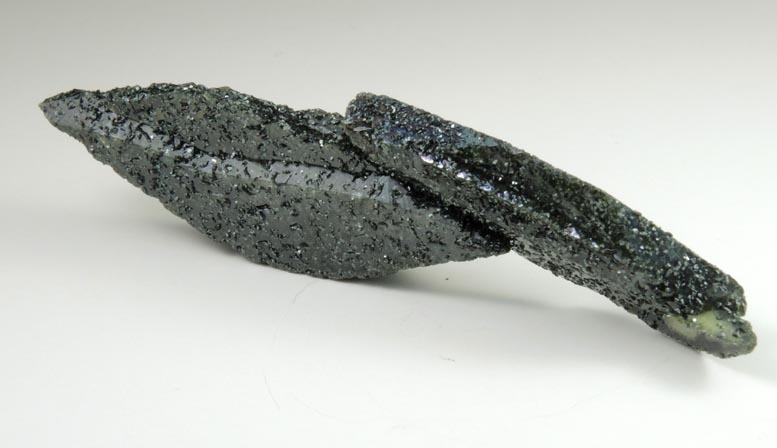 Titanite (twinned crystals) with Chlorite from Hunza Valley, Gilgit District, Gilgit-Baltistan, Pakistan