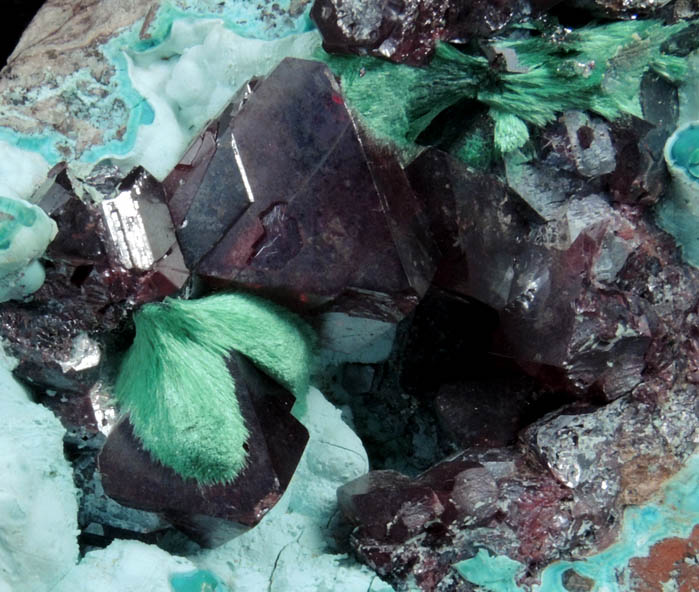 Cuprite with Malachite on Chrysocolla from Kambove Mining District, 130 km NW of Lubumbashi, Katanga Copperbelt, Lualaba Province, Democratic Republic of the Congo