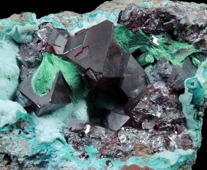 Cuprite with Malachite on Chrysocolla from Kambove Mining District, 130 km NW of Lubumbashi, Katanga Copperbelt, Lualaba Province, Democratic Republic of the Congo