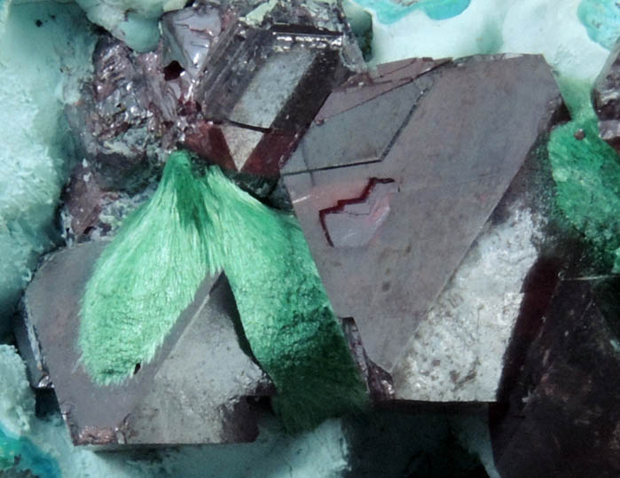 Cuprite with Malachite on Chrysocolla from Kambove Mining District, 130 km NW of Lubumbashi, Katanga Copperbelt, Lualaba Province, Democratic Republic of the Congo