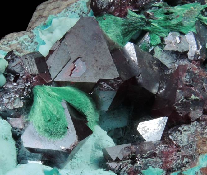 Cuprite with Malachite on Chrysocolla from Kambove Mining District, 130 km NW of Lubumbashi, Katanga Copperbelt, Lualaba Province, Democratic Republic of the Congo