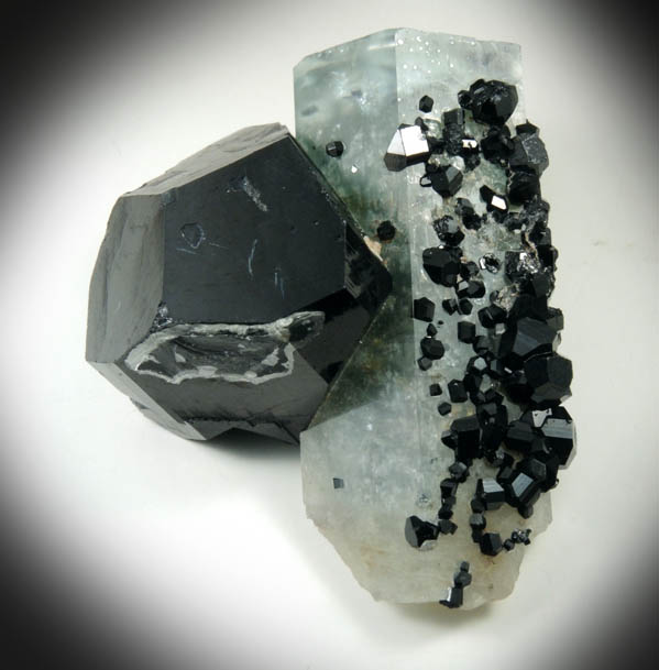 Schorl Tourmaline on Beryl var. Aquamarine with Hyalite Opal from Erongo Mountains, 20 km north of Usakos, Damaraland, Namibia