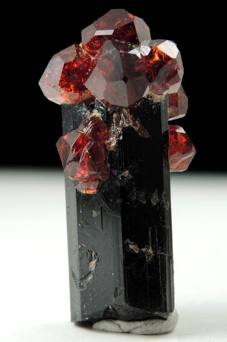 Almandine-Grossular Garnet on Schorl Tourmaline from Hunza Valley, Gilgit District, Gilgit-Baltistan, Pakistan