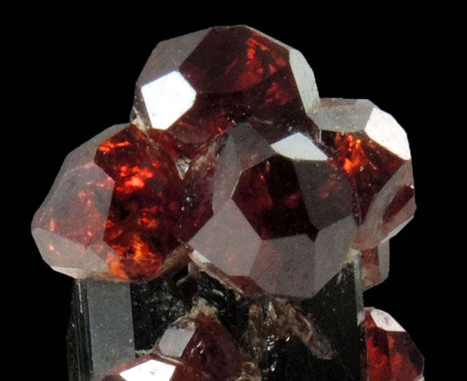 Almandine-Grossular Garnet on Schorl Tourmaline from Hunza Valley, Gilgit District, Gilgit-Baltistan, Pakistan