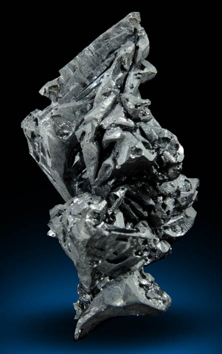 Acanthite from Mina la Sirena, Guanajuato, Mexico