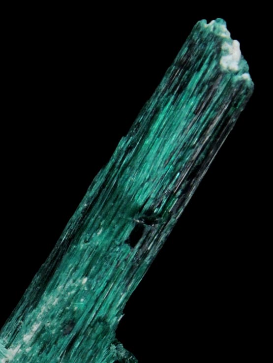 Brochantite from Milpillas Mine, Cuitaca, Sonora, Mexico