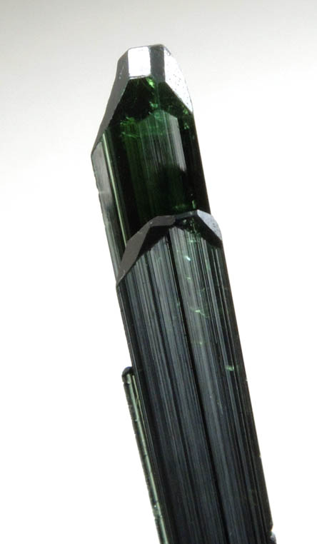 Elbaite Tourmaline from Harazu Mine, Folji, Braldu Valley, Baltistan, Gilgit-Baltistan, Pakistan