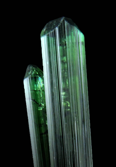 Elbaite Tourmaline from Harazu Mine, Folji, Braldu Valley, Baltistan, Gilgit-Baltistan, Pakistan