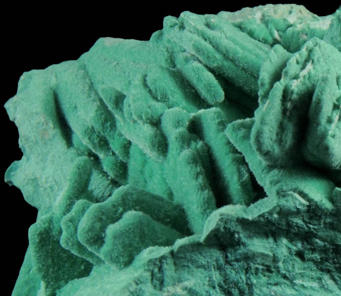 Malachite pseudomorphs after Gypsum from San Manuel Open Pit Mine, Pinal County, Arizona