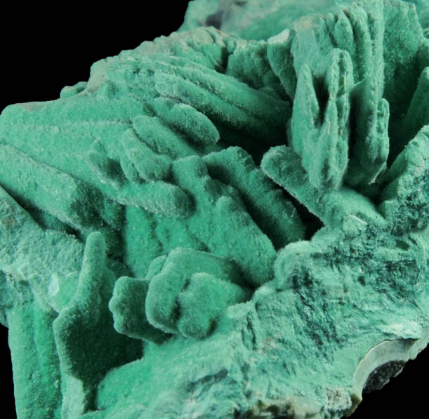 Malachite pseudomorphs after Gypsum from San Manuel Open Pit Mine, Pinal County, Arizona